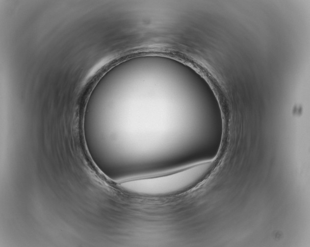X0000091941450200709051252