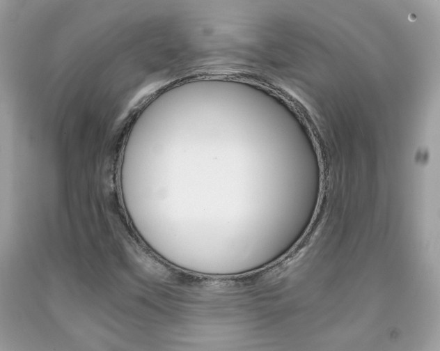 X0000091941451200709051252