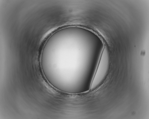 X0000091941452200709051252