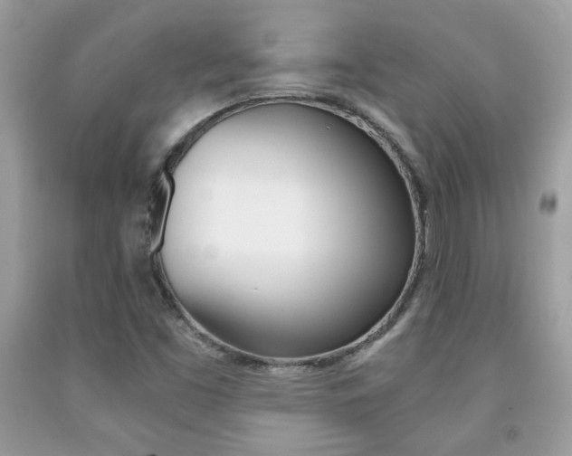X0000091941453200709051252
