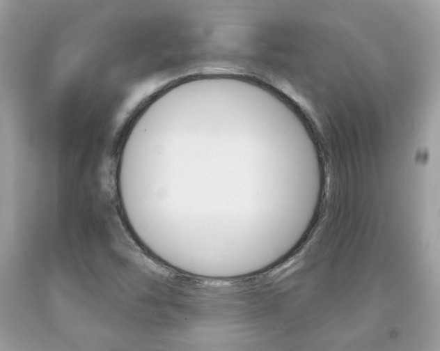 X0000091941454200709051252
