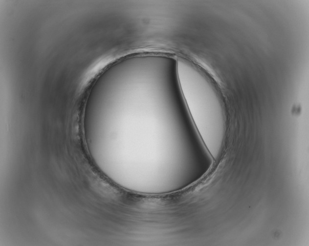 X0000091941455200709051252