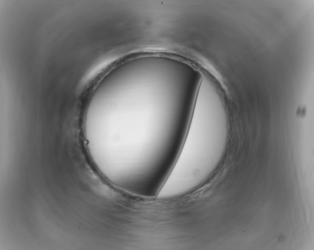 X0000091941456200709051252