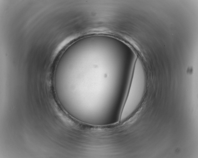 X0000091941458200709051252