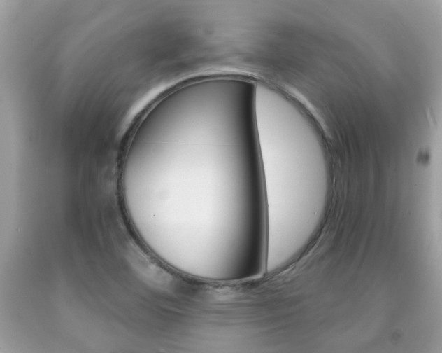 X0000091941460200709051252