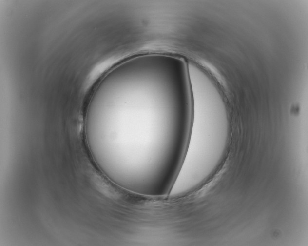 X0000091941461200709051252