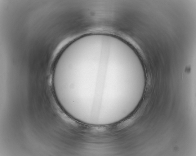 X0000091941462200709051252