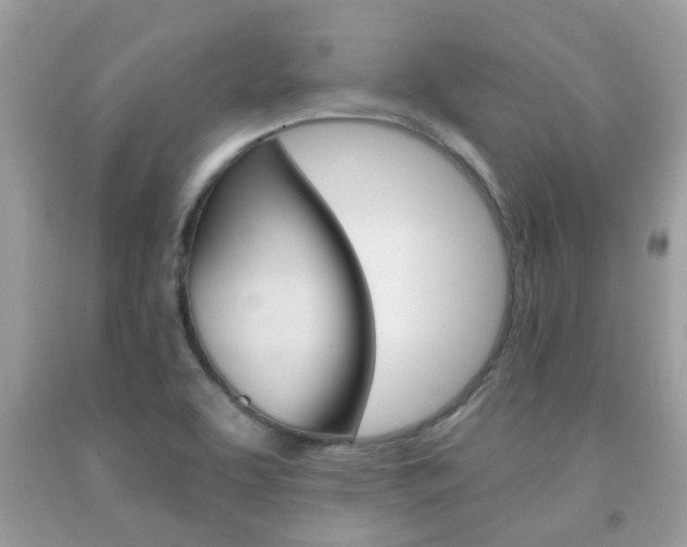 X0000091941463200709051252