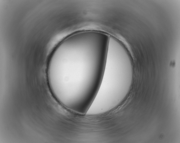 X0000091941464200709051252