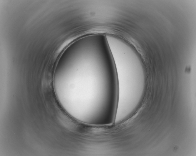 X0000091941465200709051252