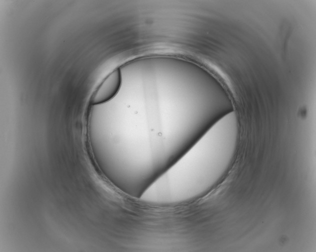 X0000091941467200709051252