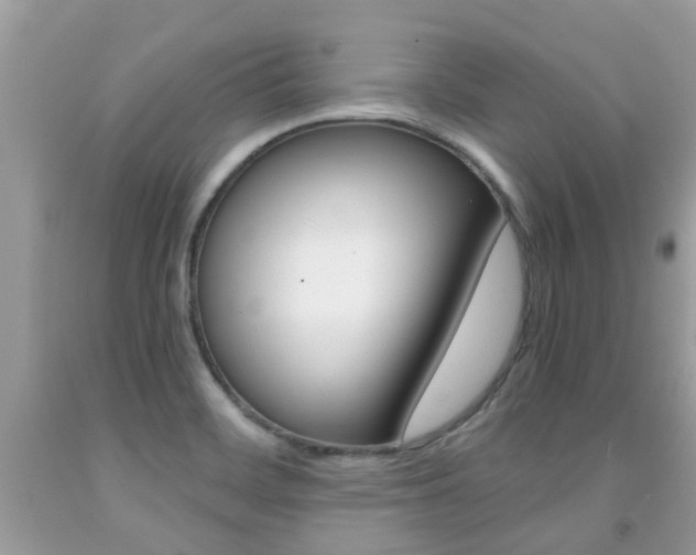 X0000091941468200709051252