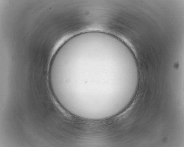 X0000091941469200709051252