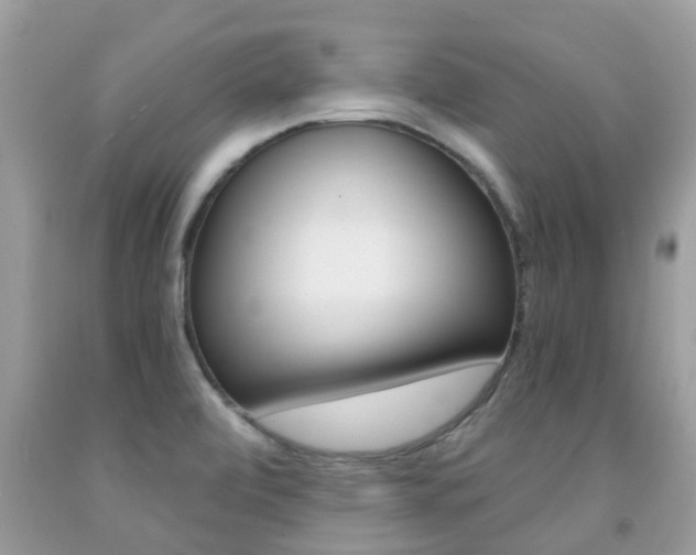 X0000091941472200709051252