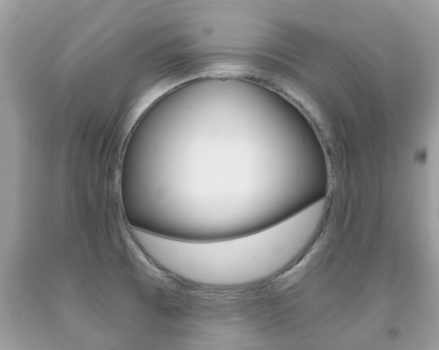 X0000091941473200709051252
