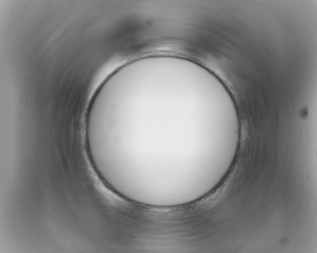 X0000091941474200709051252