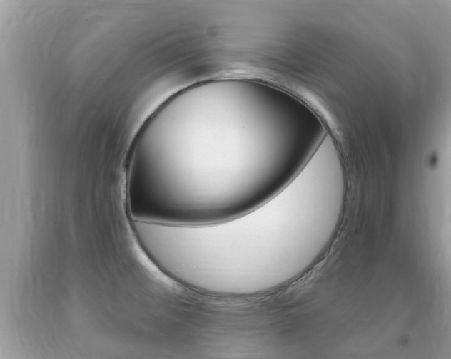 X0000091941476200709051251