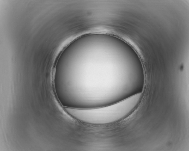 X0000091941477200709051251