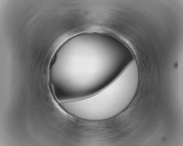 X0000091941479200709051251