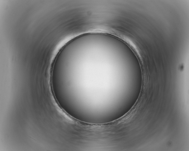 X0000091941480200709051251