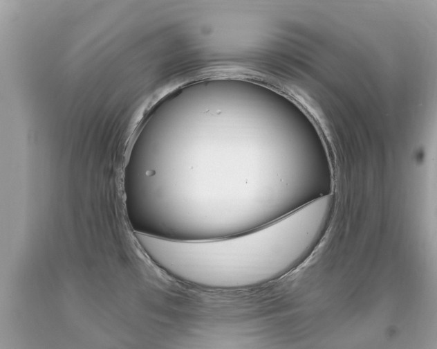 X0000091941481200709051251