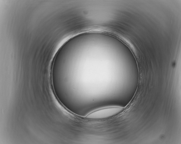 X0000091941483200709051251