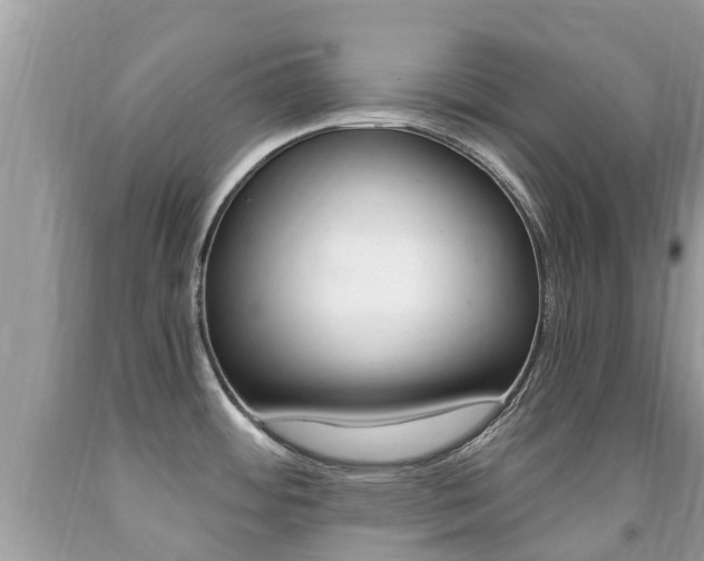 X0000091941484200709051251