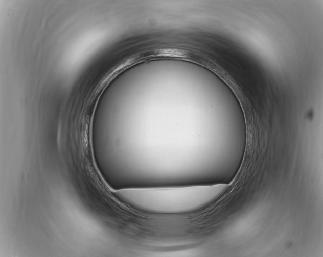 X0000091941487200709051251