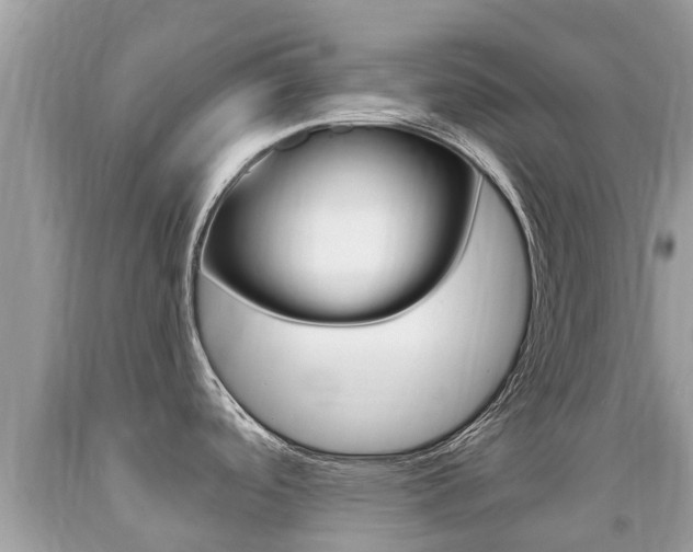 X0000091941488200709051251