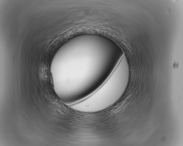 X0000091941490200709051251
