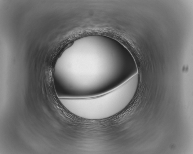 X0000091941492200709051251