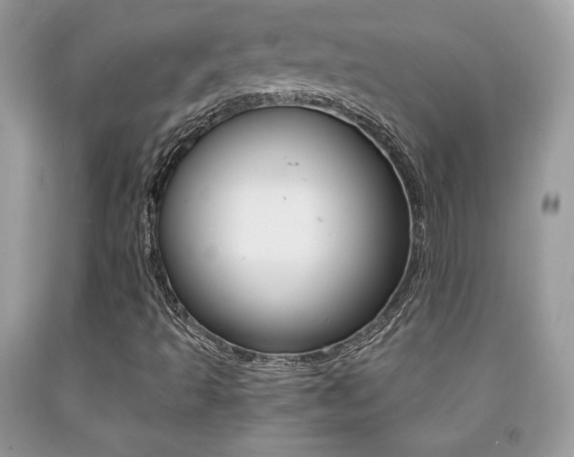 X0000091941493200709051251