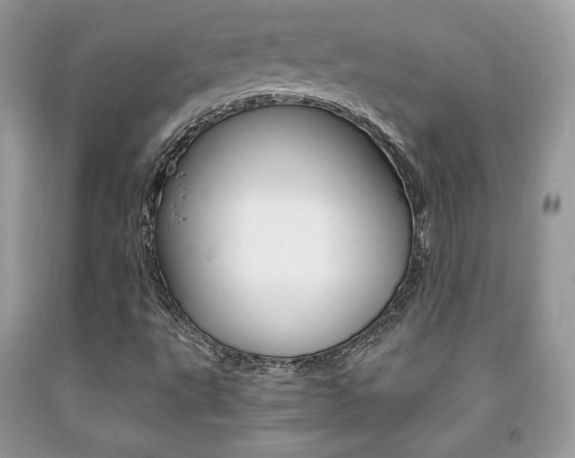 X0000091941495200709051251