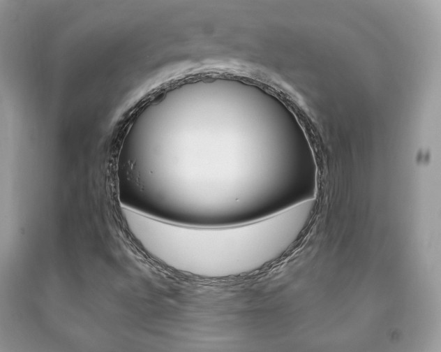 X0000091941496200709051251