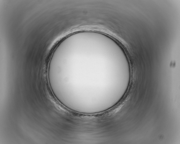 X0000091941498200709051251
