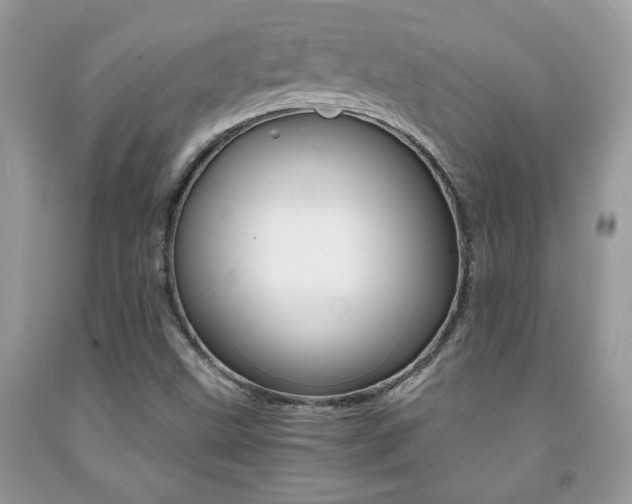 X0000091941499200709051251