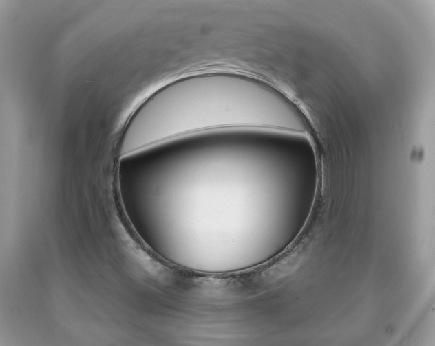 X0000091941500200709051251