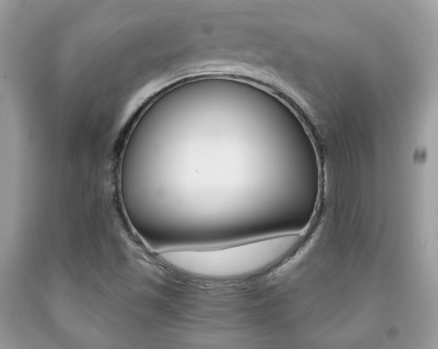 X0000091941501200709051251