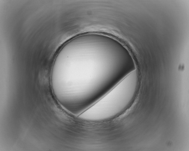 X0000091941505200709051251