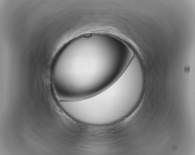 X0000091941506200709051251