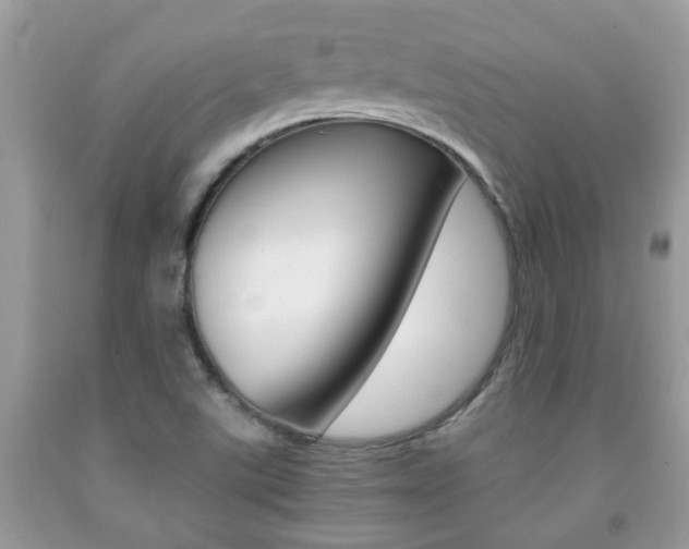 X0000091941507200709051251