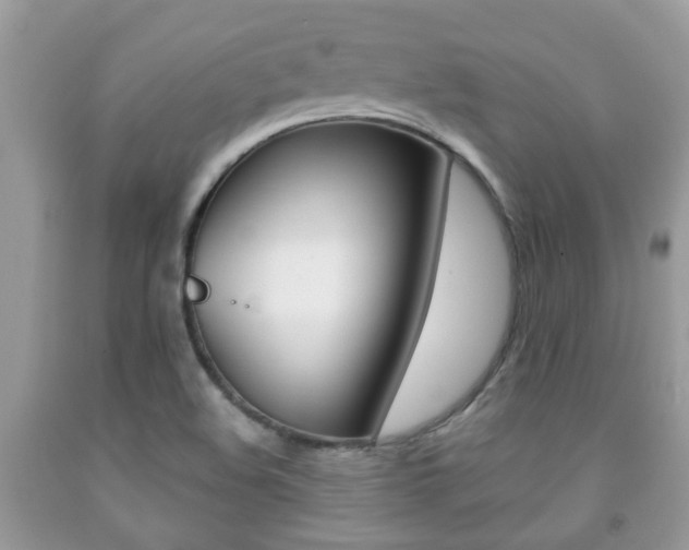 X0000091941508200709051251