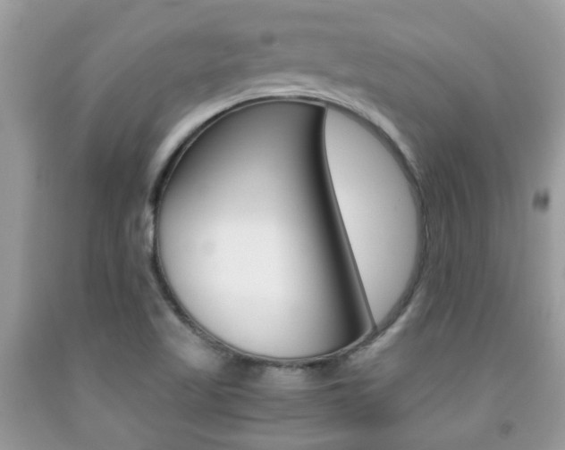 X0000091941509200709051251
