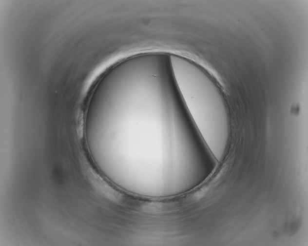 X0000091941510200709051251