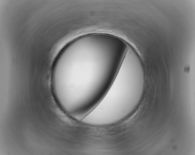 X0000091941511200709051251