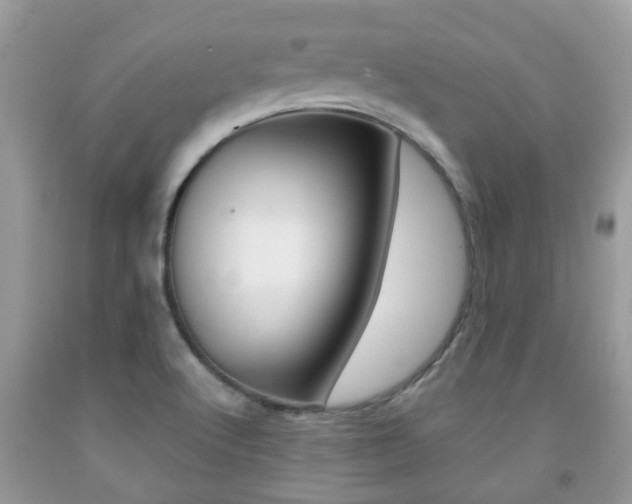 X0000091941512200709051251