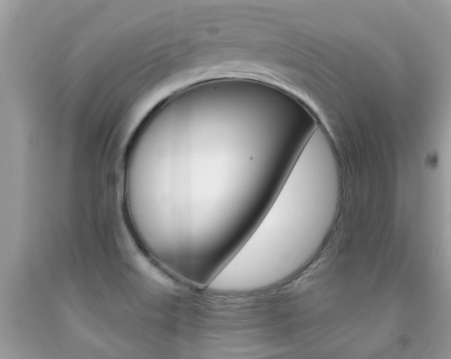 X0000091941515200709051251