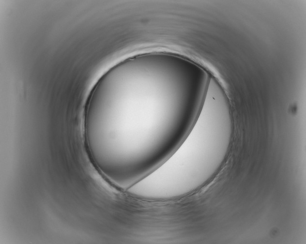 X0000091941516200709051251