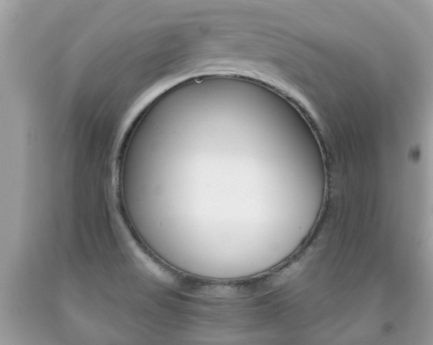 X0000091941517200709051251