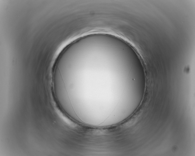 X0000091941519200709051251